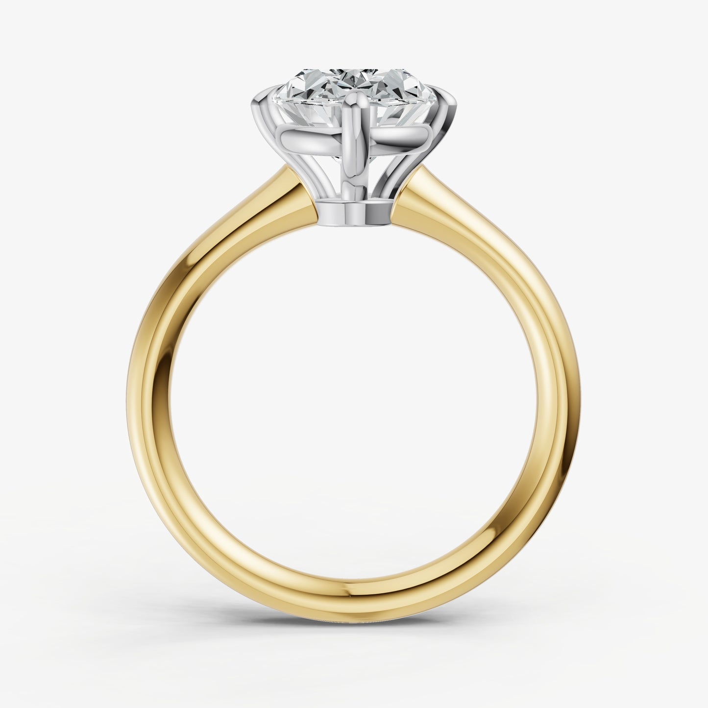 Oval Compassss Claw Tapered Band