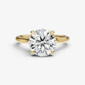 Round Cathedral Set Solitaire Engagement Ring