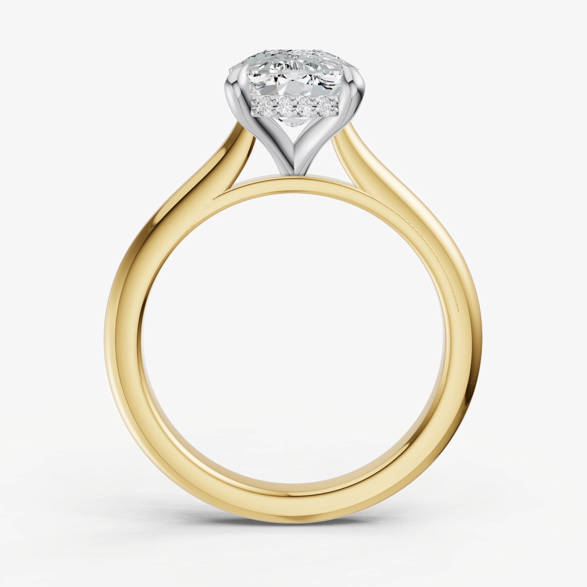 Elongated Cushion Cathedral Set Solitaire Engagement Ring with Hidden Halo