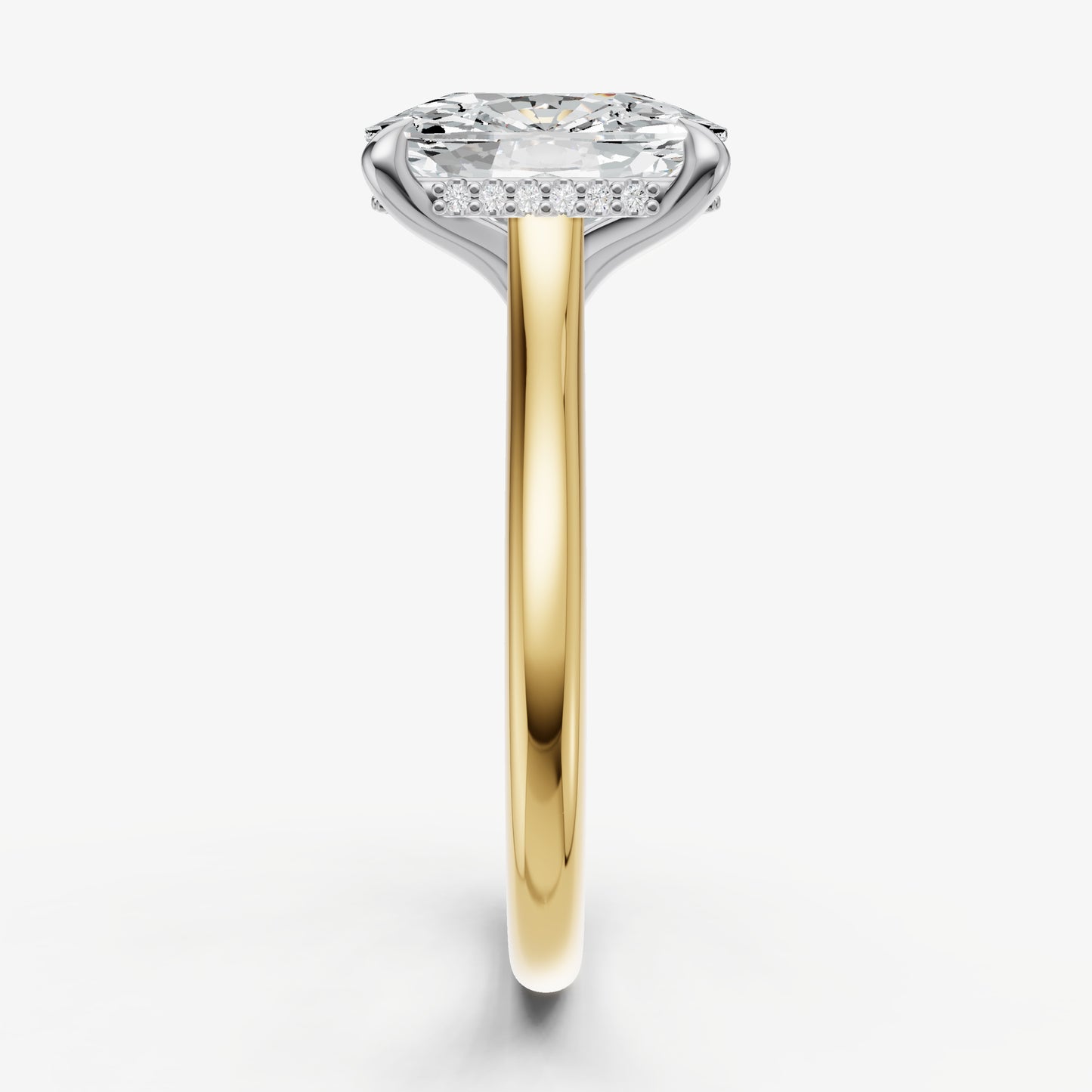 Elongated Cushion Cathedral Set Solitaire Engagement Ring with Hidden Halo