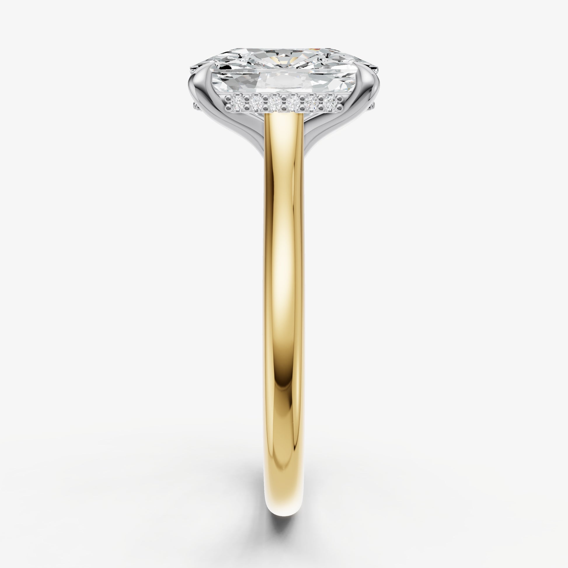 Elongated Cushion Cathedral Set Solitaire Engagement Ring with Hidden Halo