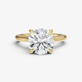 Round Cathedral Set Solitaire Engagement Ring with Hidden Halo