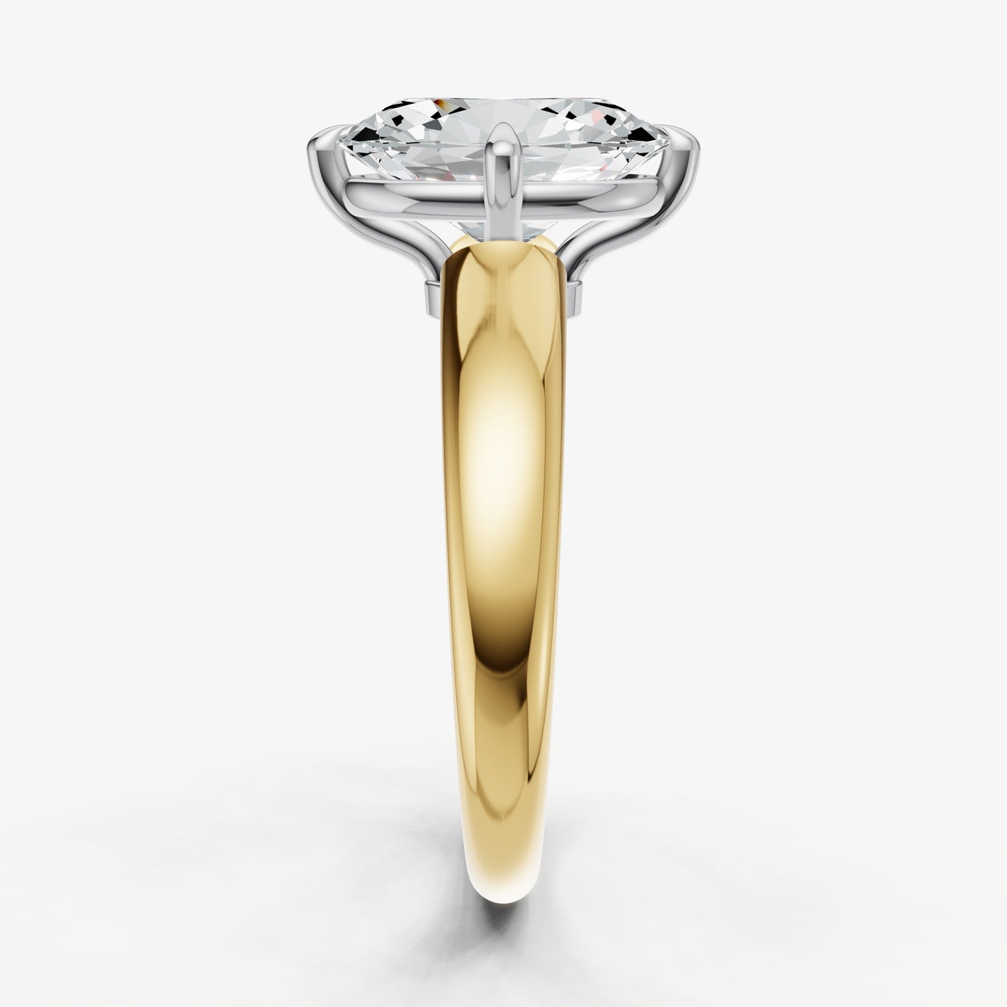 Oval Compassss Claw Tapered Band