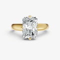 Radiant Compassss Claw Tapered Band